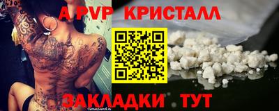 СК Краснознаменск