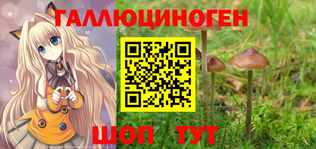 Ессентуки  Псилоцибиновые грибы прущие грибы  Вход с VPN 